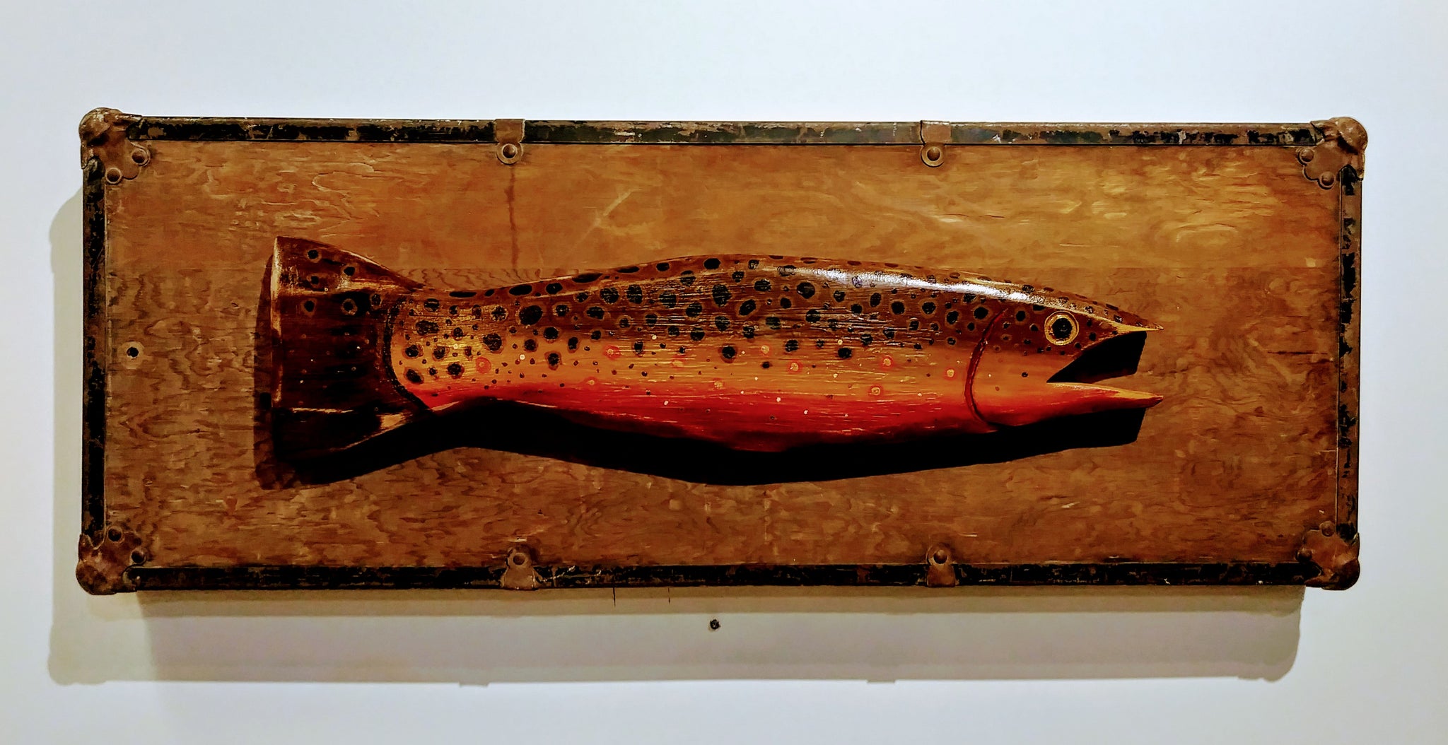 Brown Trout on Vintage Tool Box