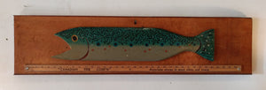 Green Trout With Yard Stick